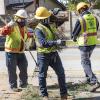 Urban Forestry Division at work