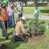 Arbor Day Celebration