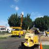 Hobart Ave Tree Trimming